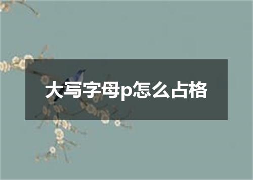 大写字母p怎么占格