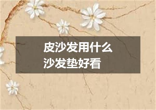 皮沙发用什么沙发垫好看