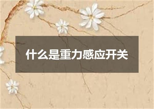 什么是重力感应开关