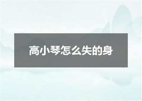 高小琴怎么失的身
