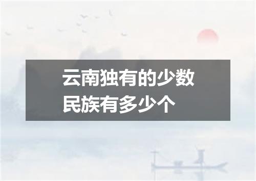 云南独有的少数民族有多少个