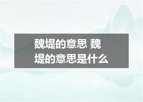 魏堤的意思 魏堤的意思是什么