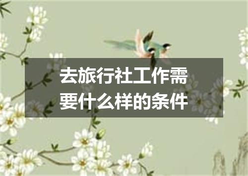 去旅行社工作需要什么样的条件