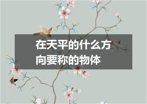 在天平的什么方向要称的物体