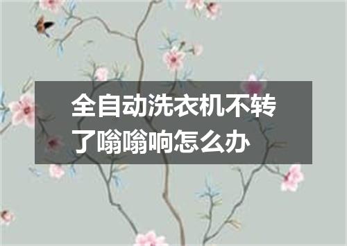 全自动洗衣机不转了嗡嗡响怎么办