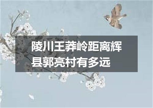 陵川王莽岭距离辉县郭亮村有多远