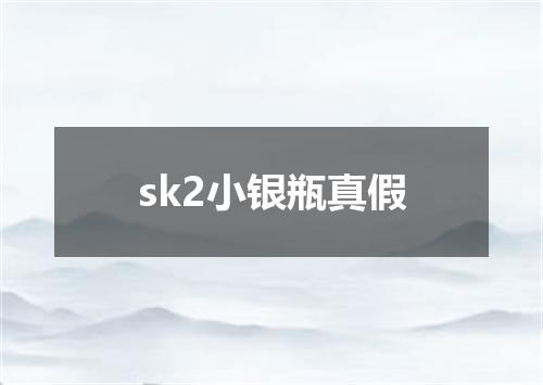 sk2小银瓶真假