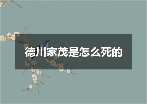 德川家茂是怎么死的