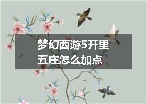 梦幻西游5开里五庄怎么加点