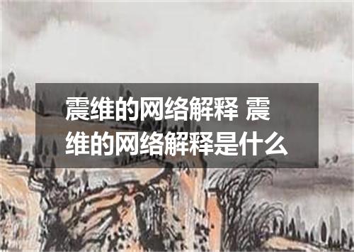 震维的网络解释 震维的网络解释是什么