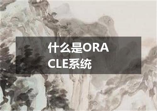 什么是ORACLE系统