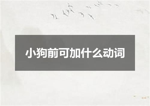 小狗前可加什么动词