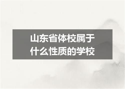 山东省体校属于什么性质的学校