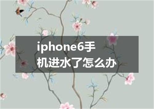 iphone6手机进水了怎么办