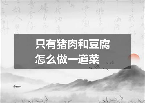 只有猪肉和豆腐怎么做一道菜