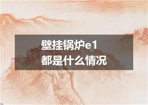 壁挂锅炉e1都是什么情况