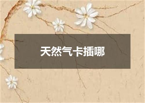 天然气卡插哪
