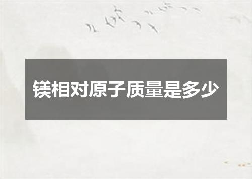 镁相对原子质量是多少