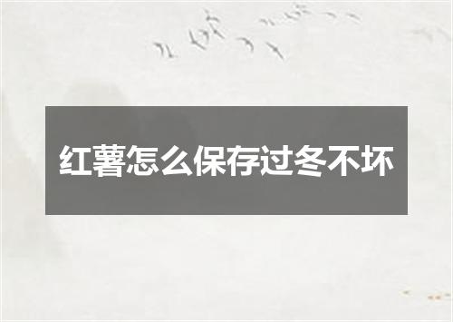 红薯怎么保存过冬不坏