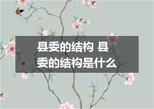 县委的结构 县委的结构是什么