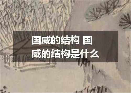 国威的结构 国威的结构是什么