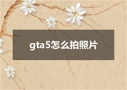 gta5怎么拍照片
