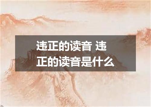 违正的读音 违正的读音是什么