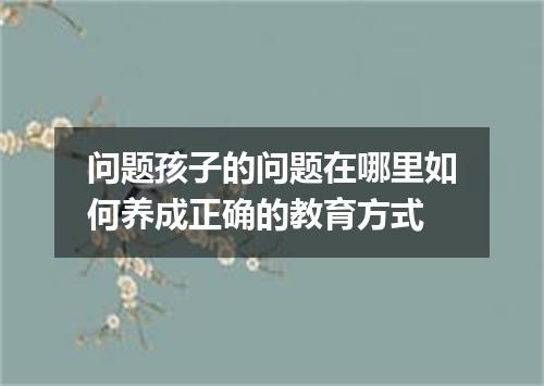 问题孩子的问题在哪里如何养成正确的教育方式