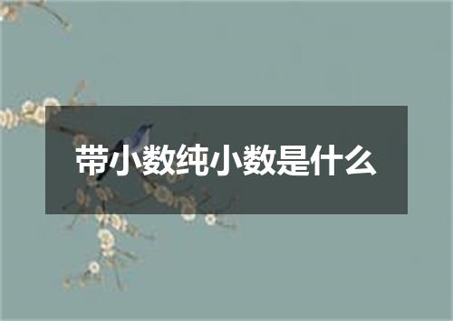 带小数纯小数是什么