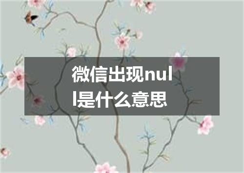 微信出现null是什么意思
