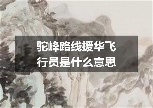 驼峰路线援华飞行员是什么意思