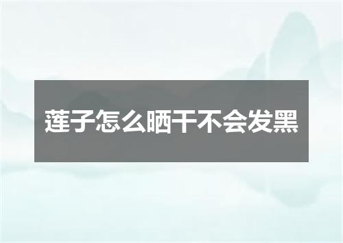 莲子怎么晒干不会发黑