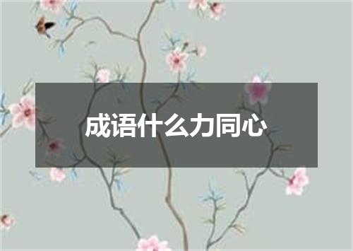 成语什么力同心