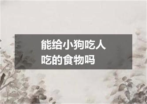 能给小狗吃人吃的食物吗