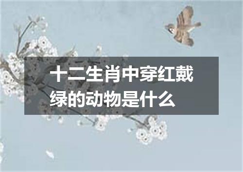 十二生肖中穿红戴绿的动物是什么