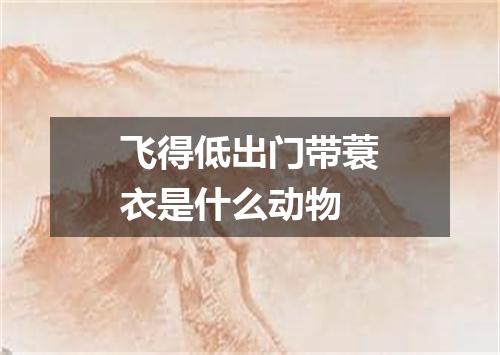 飞得低出门带蓑衣是什么动物