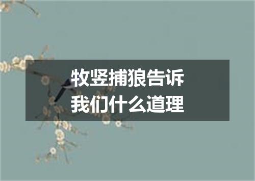 牧竖捕狼告诉我们什么道理