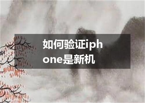 如何验证iphone是新机