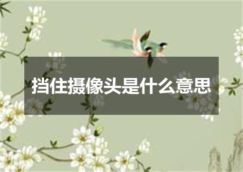 挡住摄像头是什么意思