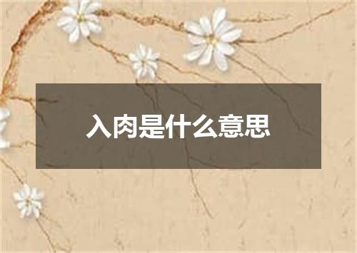 入肉是什么意思