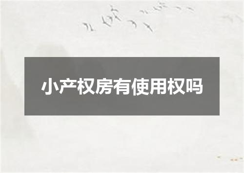 小产权房有使用权吗