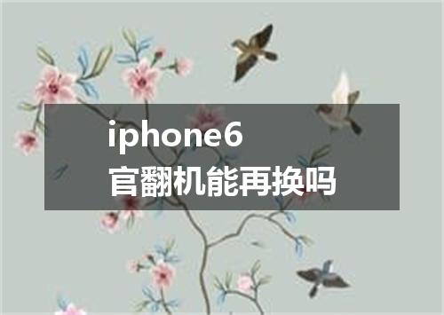 iphone6官翻机能再换吗