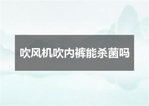 吹风机吹内裤能杀菌吗