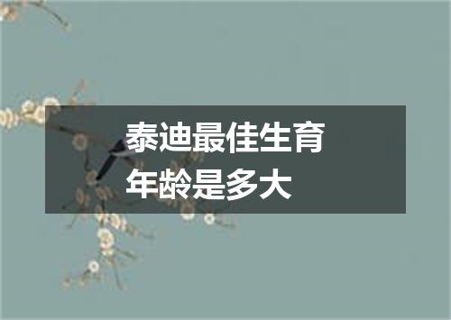 泰迪最佳生育年龄是多大