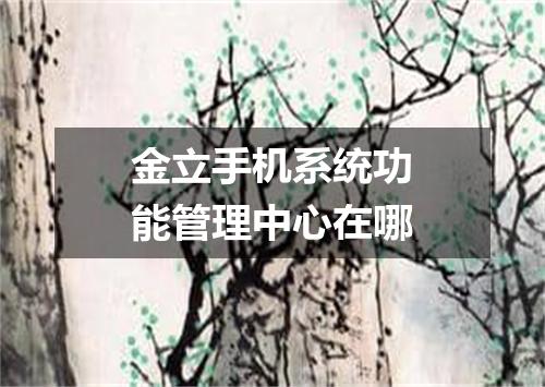 金立手机系统功能管理中心在哪
