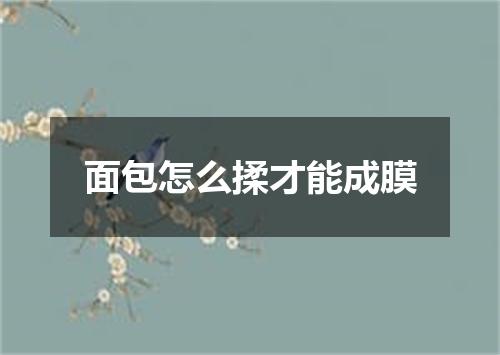 面包怎么揉才能成膜