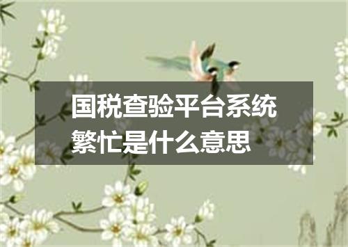 国税查验平台系统繁忙是什么意思