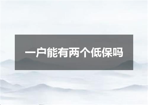 一户能有两个低保吗
