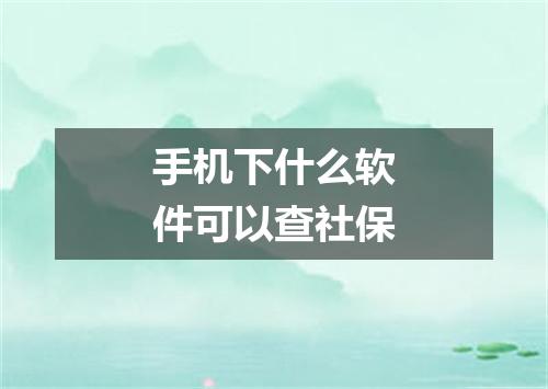 手机下什么软件可以查社保