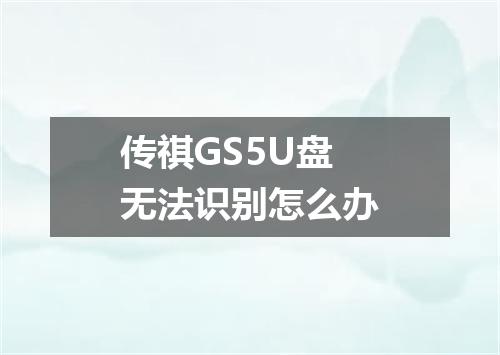 传祺GS5U盘无法识别怎么办